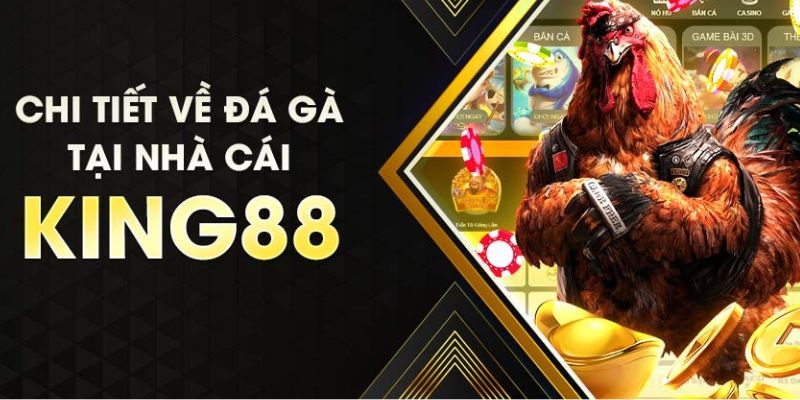 Đá gà King88 là gì