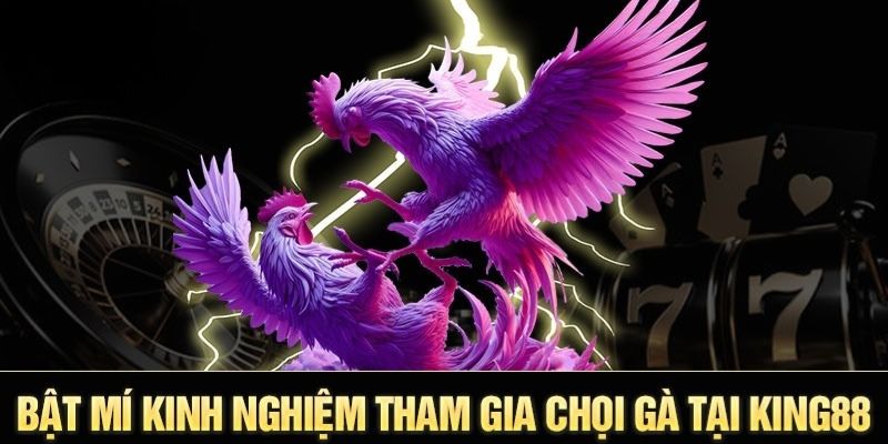 Chia sẻ những mẹo đá gà King88 bất bại, giúp thắng lớn 100%