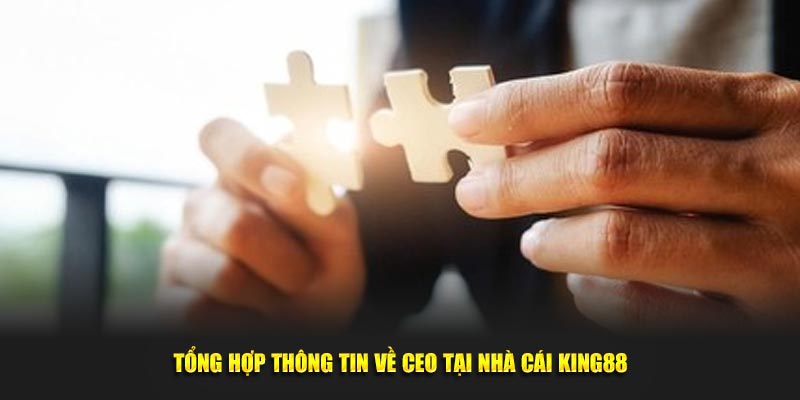 Tổng hợp thông tin về CEO tại nhà cái King88