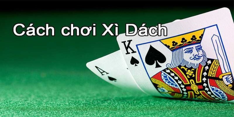 Quy luật cơ bản hướng dẫn chơi xì dách cho người mới 