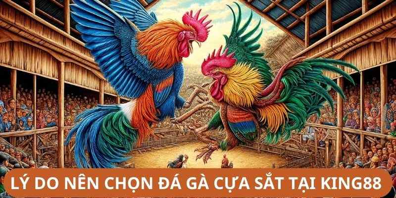 Lý do nên chọn đá gà cựa sắt tại King88