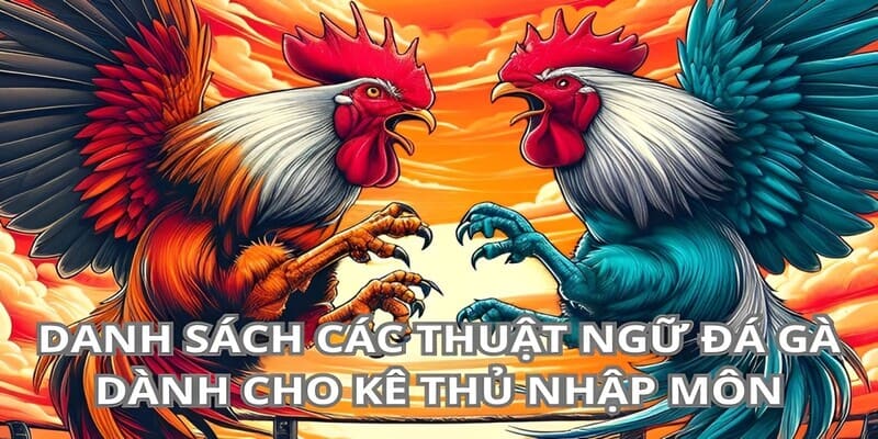 thuật ngữ trong đá gà